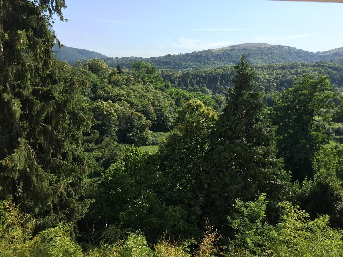 Hotel Ludovici フィウッジ エクステリア 写真